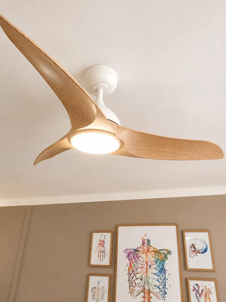 Ventilateur du cabinet